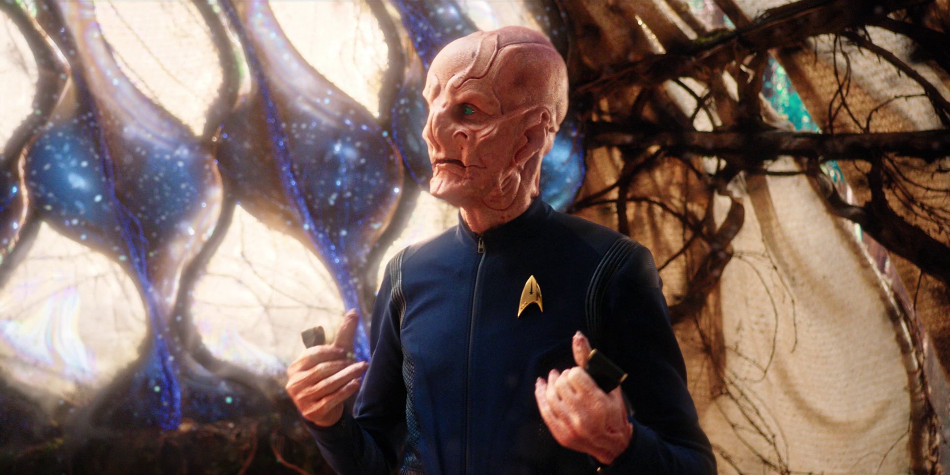 extant_StarTrekDiscovery_1x08-SiVisPacemParaBellum_2446.jpg