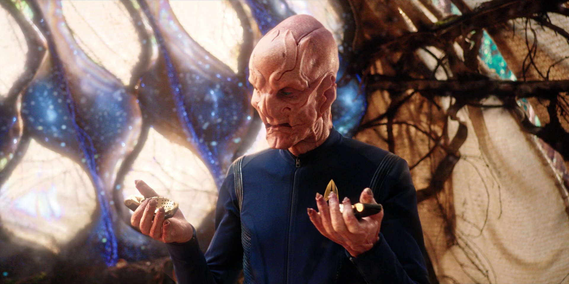 extant_StarTrekDiscovery_1x08-SiVisPacemParaBellum_2449.jpg