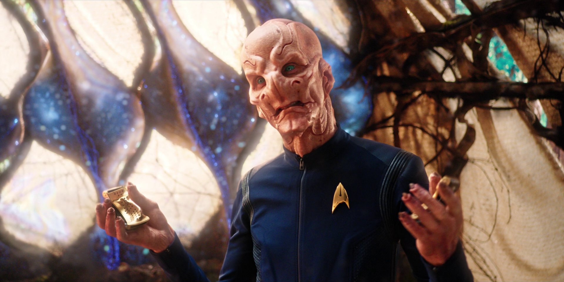 extant_StarTrekDiscovery_1x08-SiVisPacemParaBellum_2451.jpg
