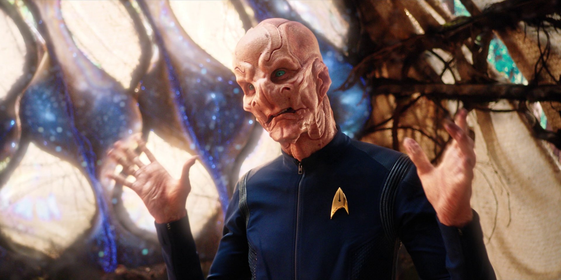 extant_StarTrekDiscovery_1x08-SiVisPacemParaBellum_2452.jpg