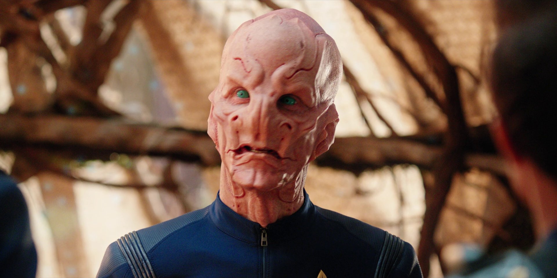 extant_StarTrekDiscovery_1x08-SiVisPacemParaBellum_2459.jpg