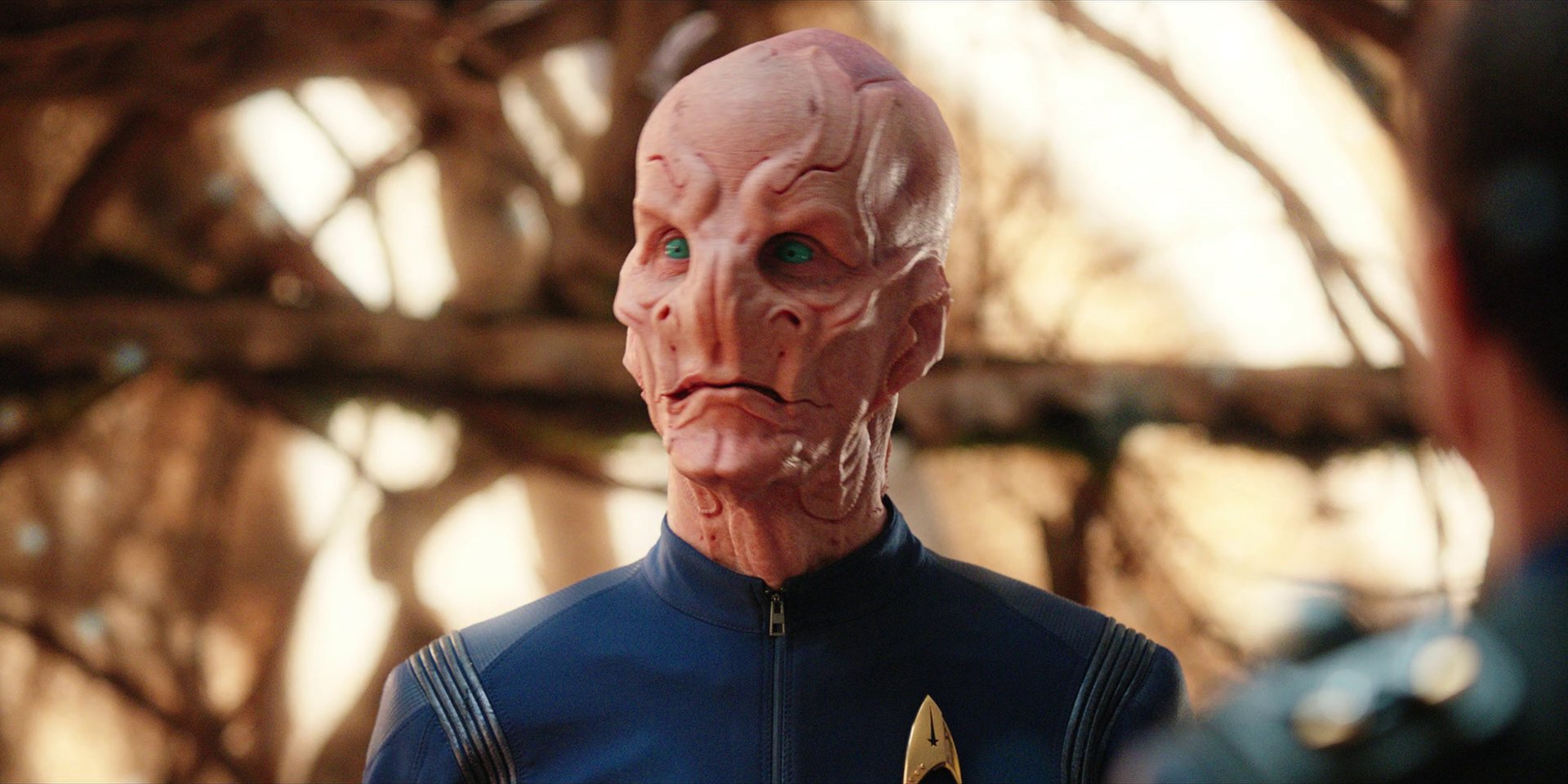 extant_StarTrekDiscovery_1x08-SiVisPacemParaBellum_2470.jpg