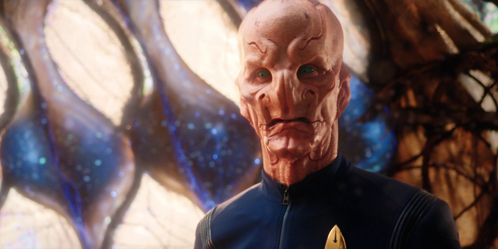 extant_StarTrekDiscovery_1x08-SiVisPacemParaBellum_2487.jpg