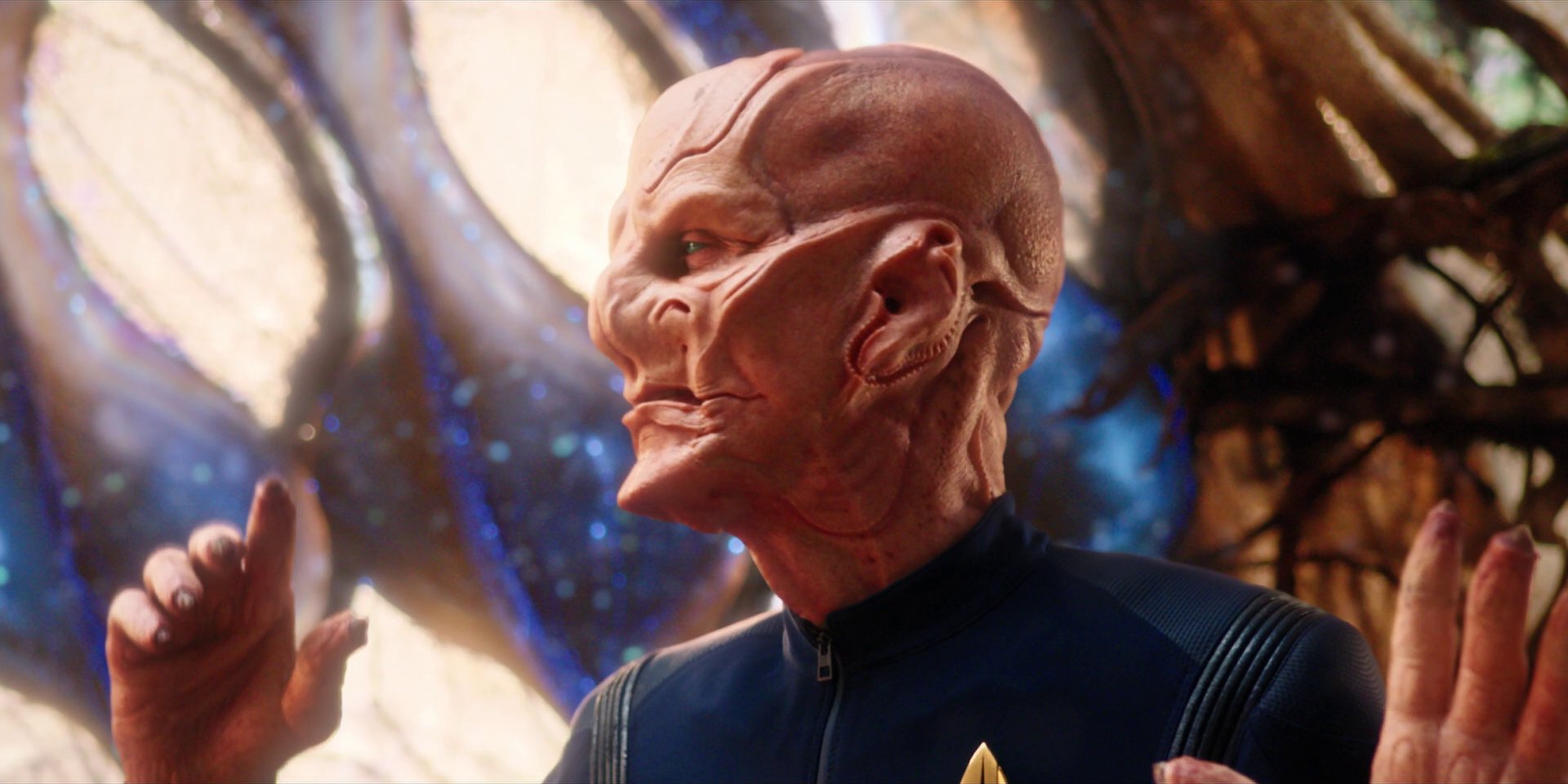 extant_StarTrekDiscovery_1x08-SiVisPacemParaBellum_2499.jpg