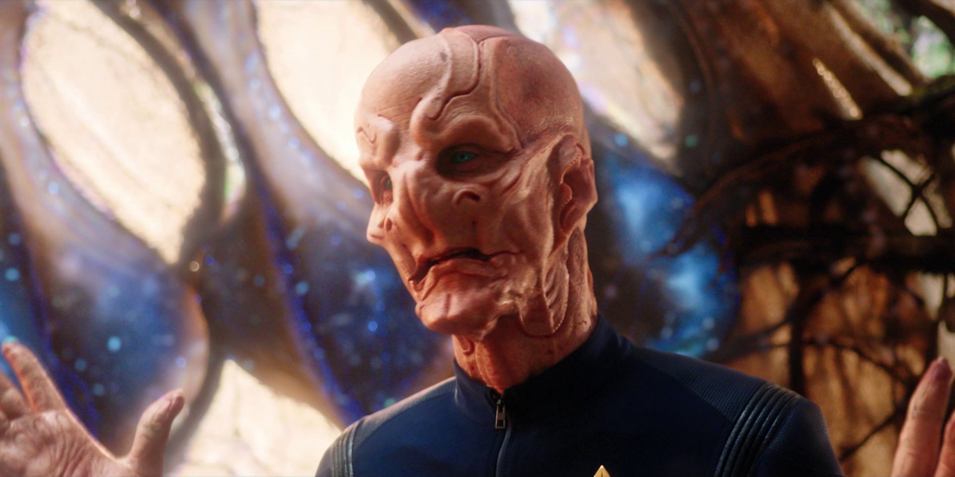 extant_StarTrekDiscovery_1x08-SiVisPacemParaBellum_2501.jpg
