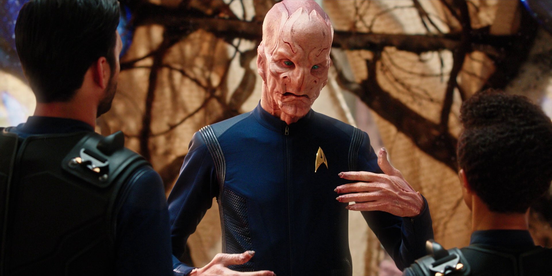 extant_StarTrekDiscovery_1x08-SiVisPacemParaBellum_2513.jpg
