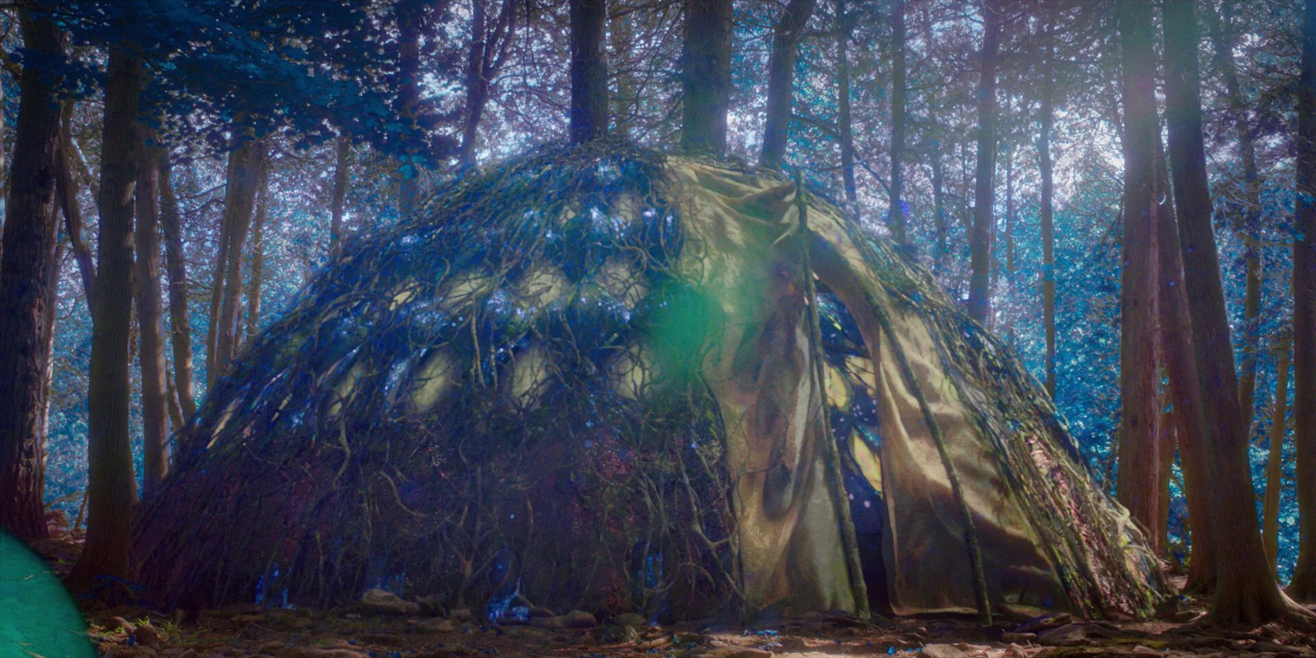 extant_StarTrekDiscovery_1x08-SiVisPacemParaBellum_2555.jpg