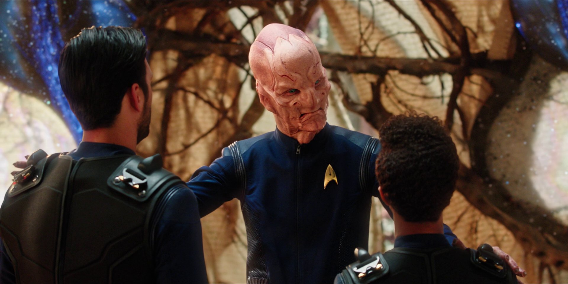 extant_StarTrekDiscovery_1x08-SiVisPacemParaBellum_2559.jpg