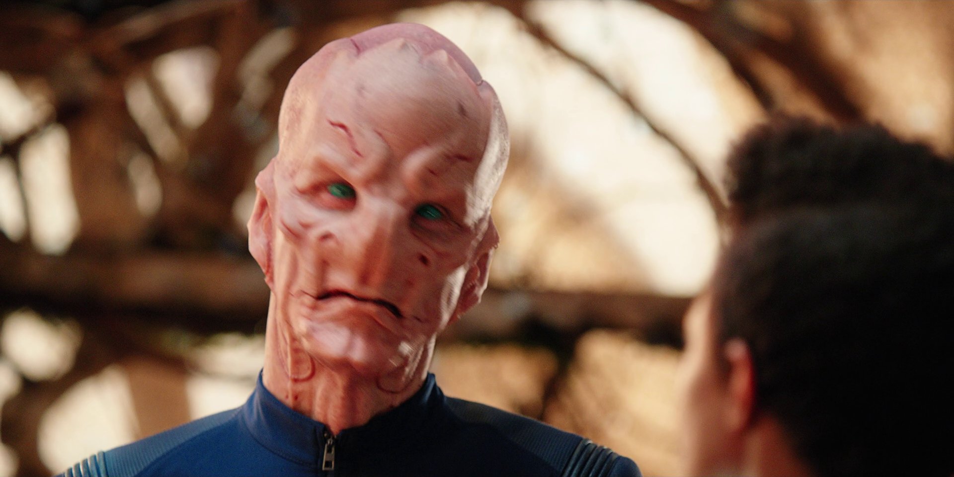 extant_StarTrekDiscovery_1x08-SiVisPacemParaBellum_2563.jpg