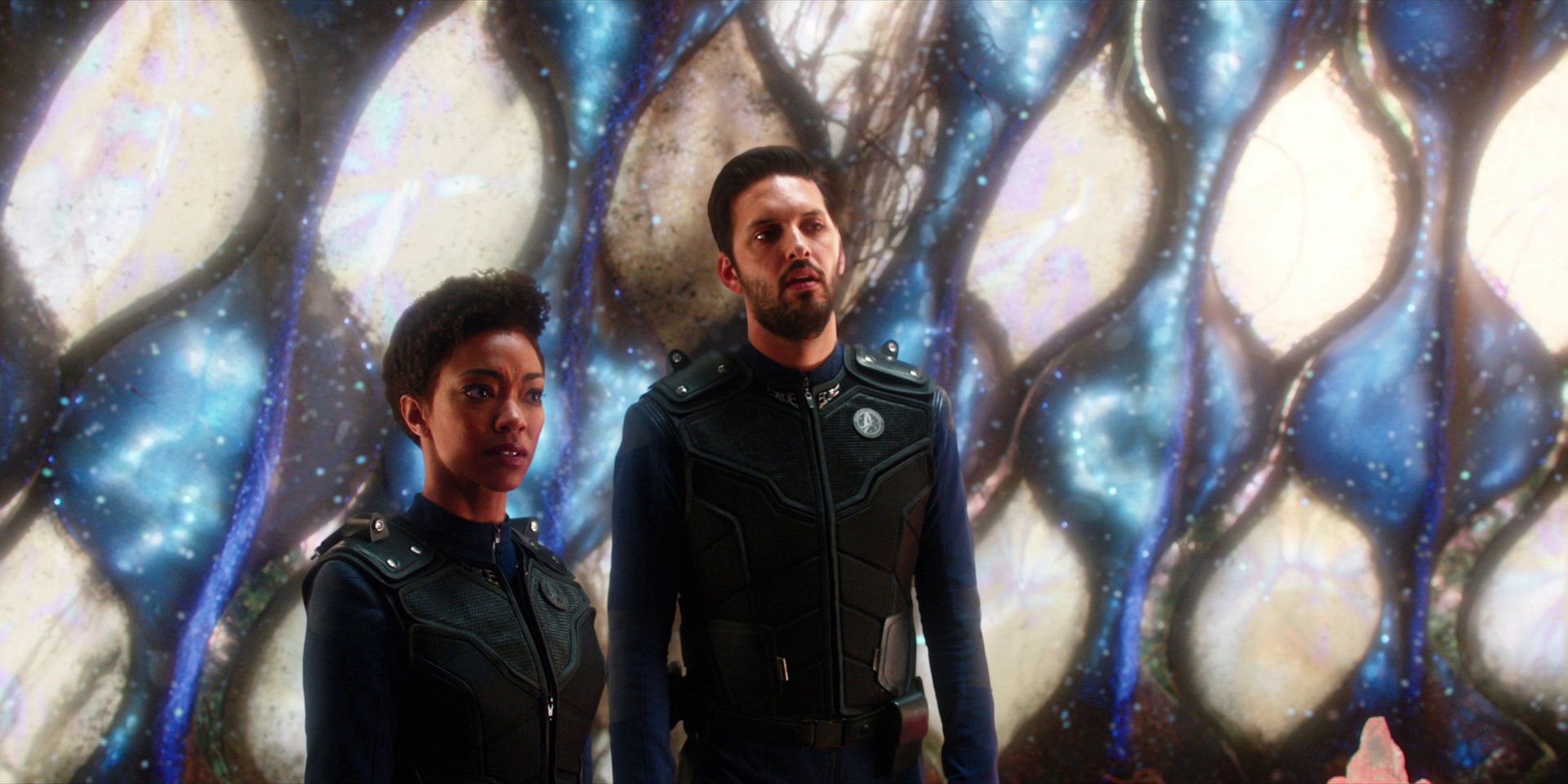 extant_StarTrekDiscovery_1x08-SiVisPacemParaBellum_2568.jpg