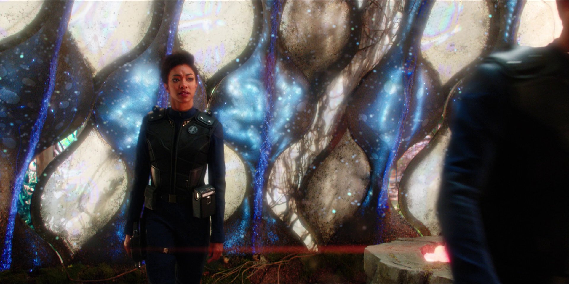 extant_StarTrekDiscovery_1x08-SiVisPacemParaBellum_2573.jpg