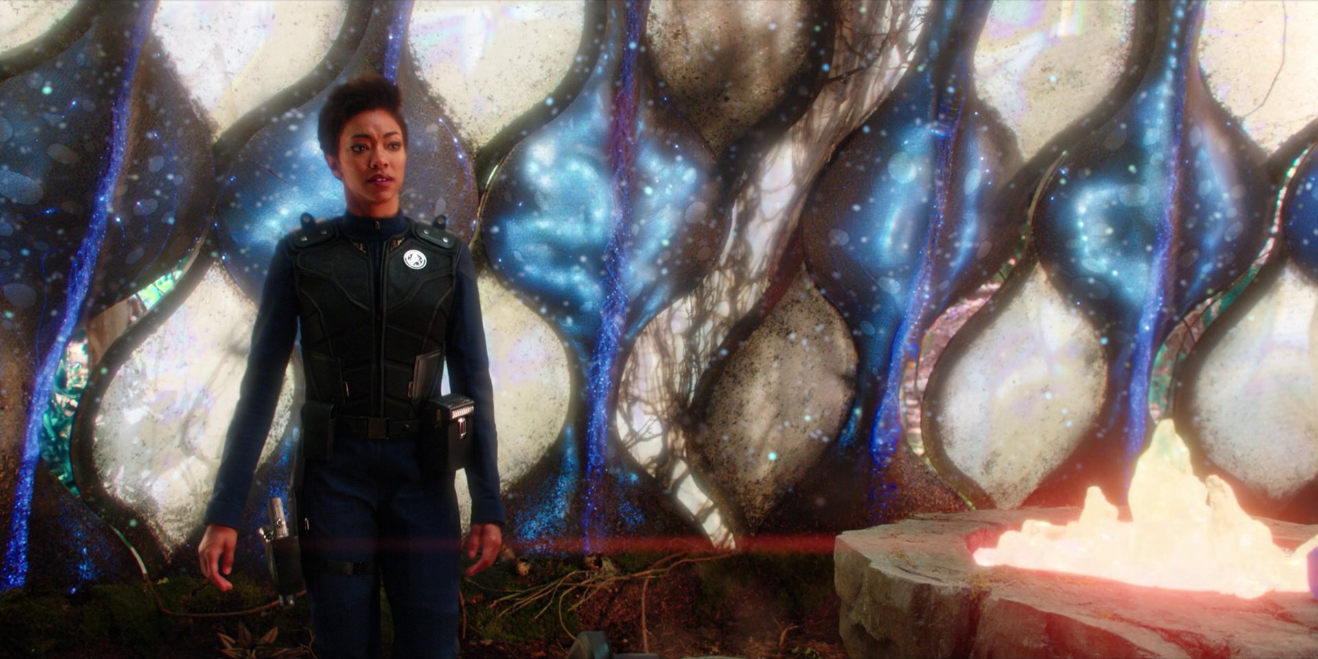 extant_StarTrekDiscovery_1x08-SiVisPacemParaBellum_2574.jpg