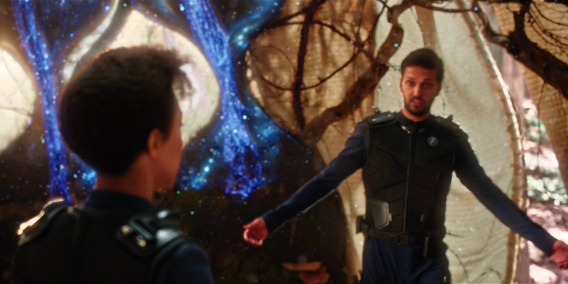 extant_StarTrekDiscovery_1x08-SiVisPacemParaBellum_2577.jpg