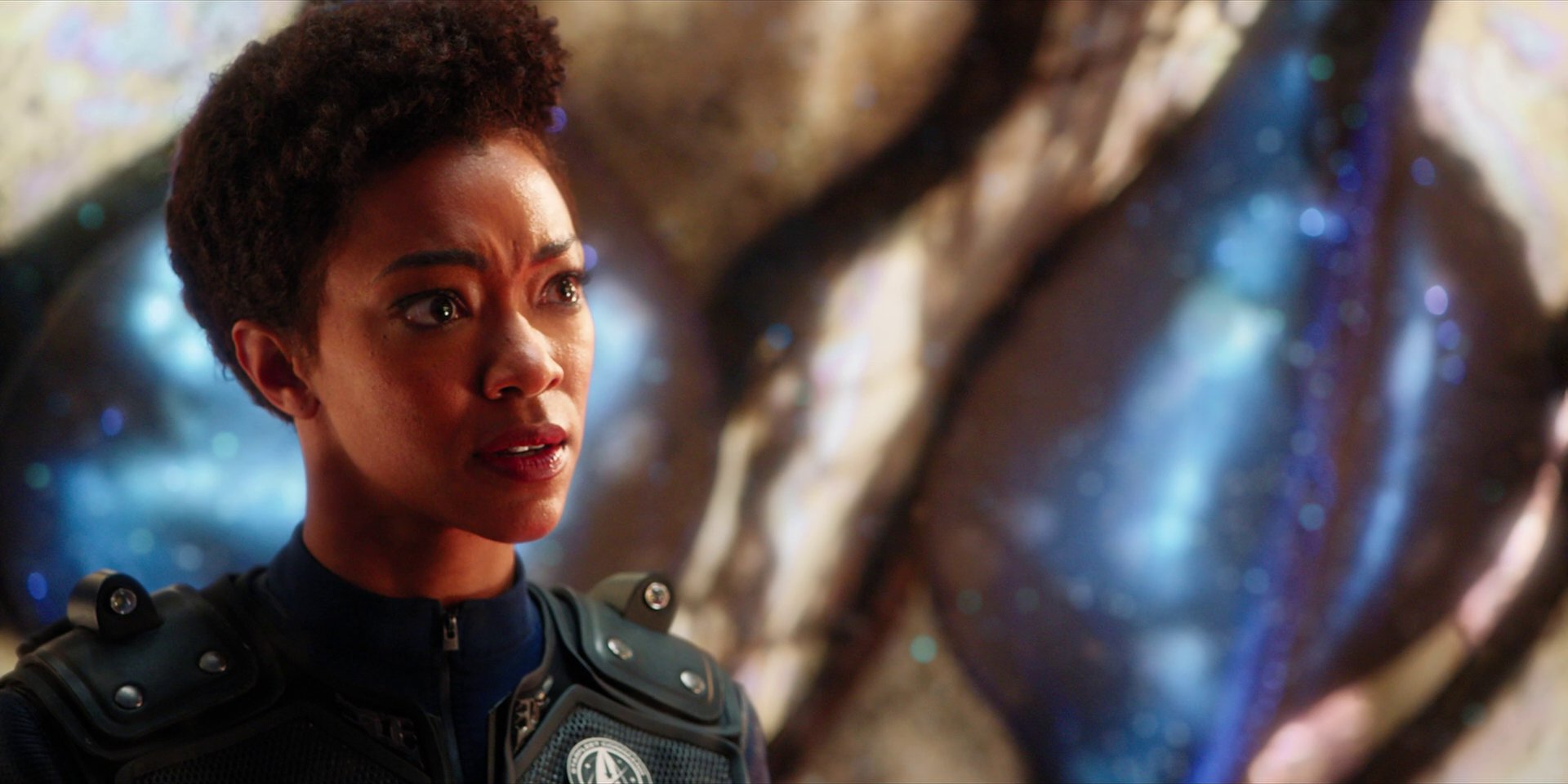 extant_StarTrekDiscovery_1x08-SiVisPacemParaBellum_2596.jpg