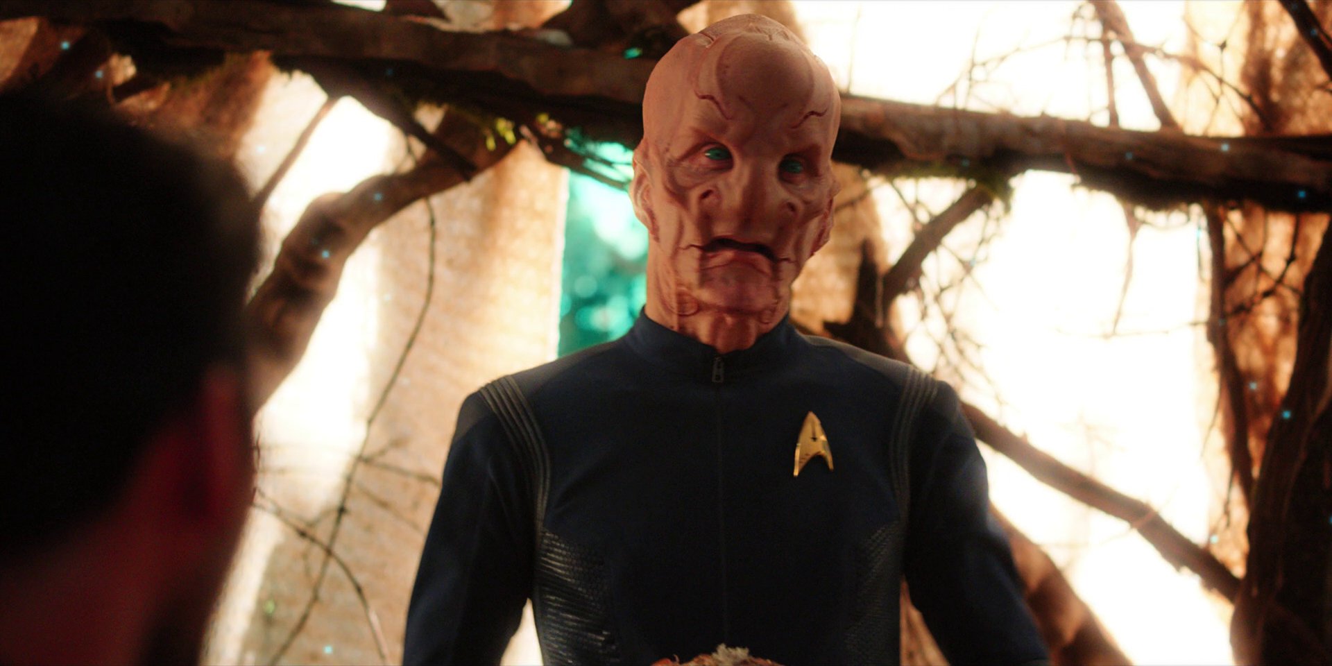 extant_StarTrekDiscovery_1x08-SiVisPacemParaBellum_2837.jpg extant_StarTrekDiscovery_1x08-SiVisPacemParaBellum_2837.jpg