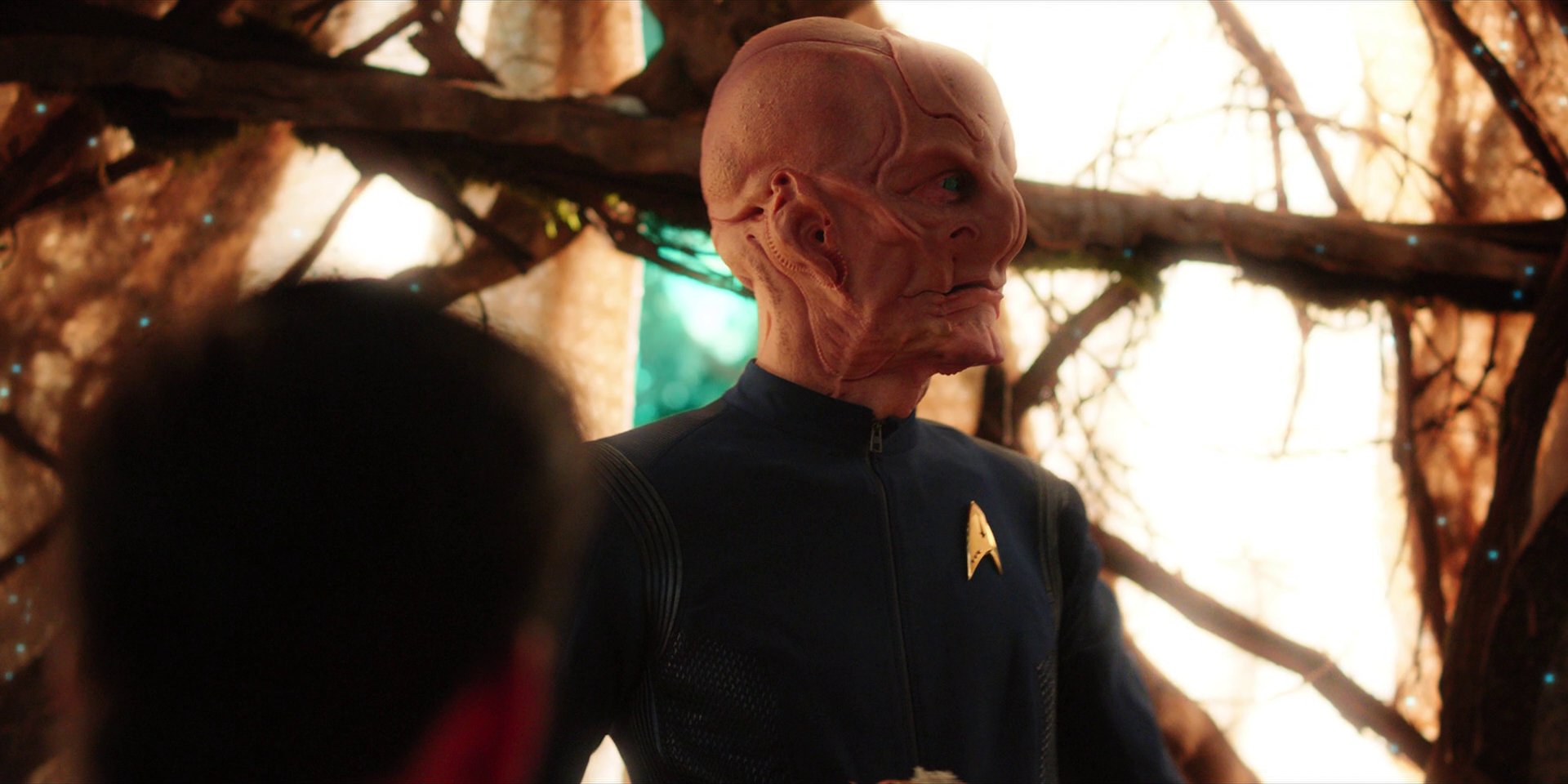 extant_StarTrekDiscovery_1x08-SiVisPacemParaBellum_2838.jpg