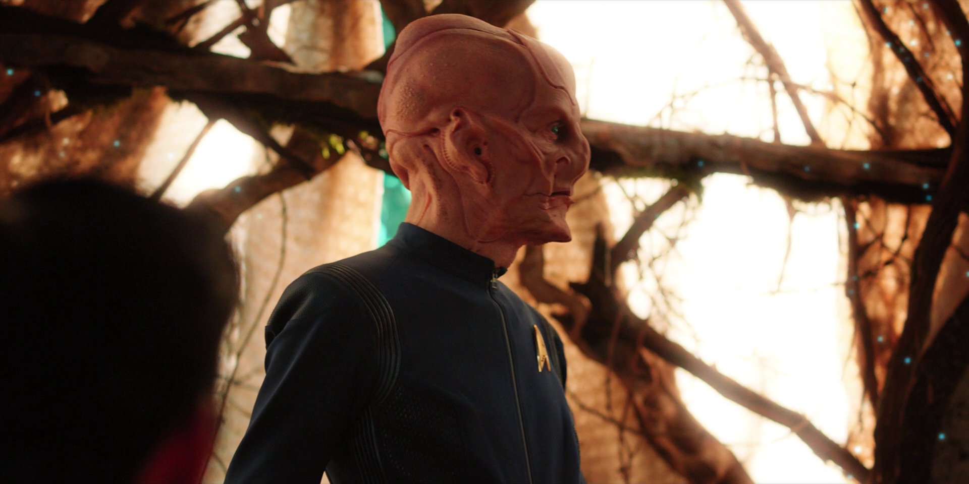 extant_StarTrekDiscovery_1x08-SiVisPacemParaBellum_2839.jpg extant_StarTrekDiscovery_1x08-SiVisPacemParaBellum_2839.jpg