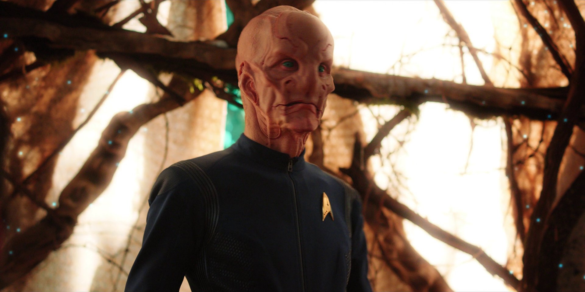 extant_StarTrekDiscovery_1x08-SiVisPacemParaBellum_2840.jpg extant_StarTrekDiscovery_1x08-SiVisPacemParaBellum_2840.jpg