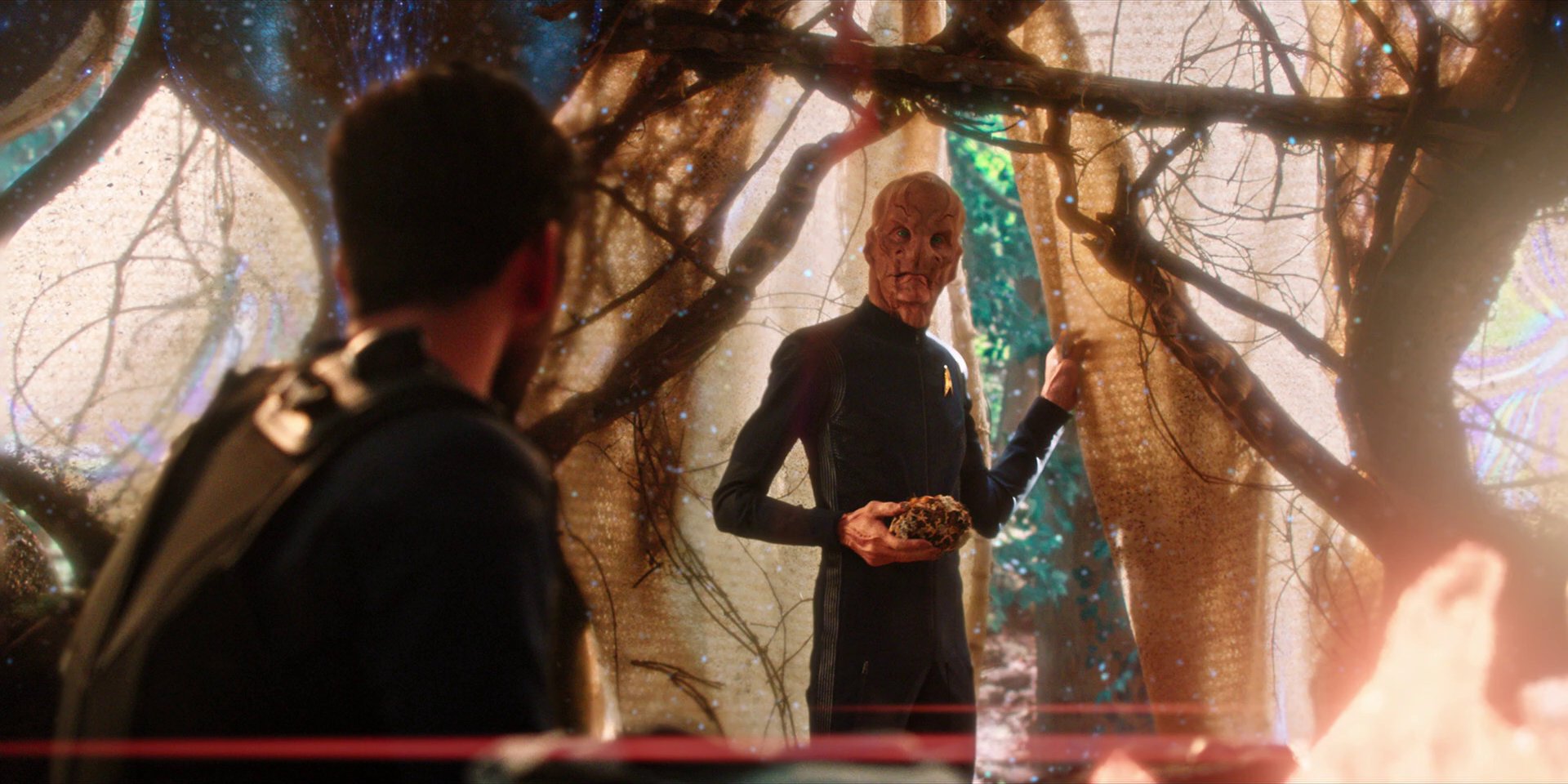 extant_StarTrekDiscovery_1x08-SiVisPacemParaBellum_2869.jpg