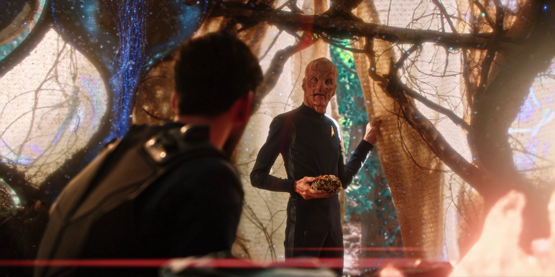 extant_StarTrekDiscovery_1x08-SiVisPacemParaBellum_2870.jpg