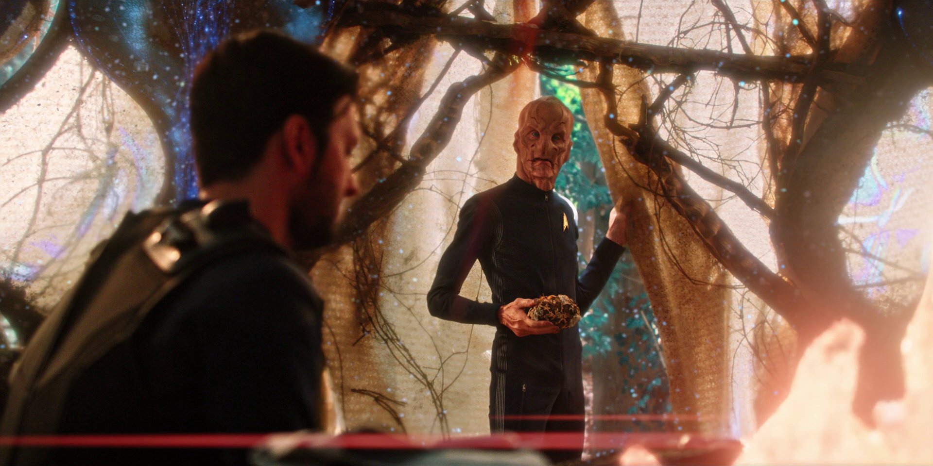 extant_StarTrekDiscovery_1x08-SiVisPacemParaBellum_2871.jpg