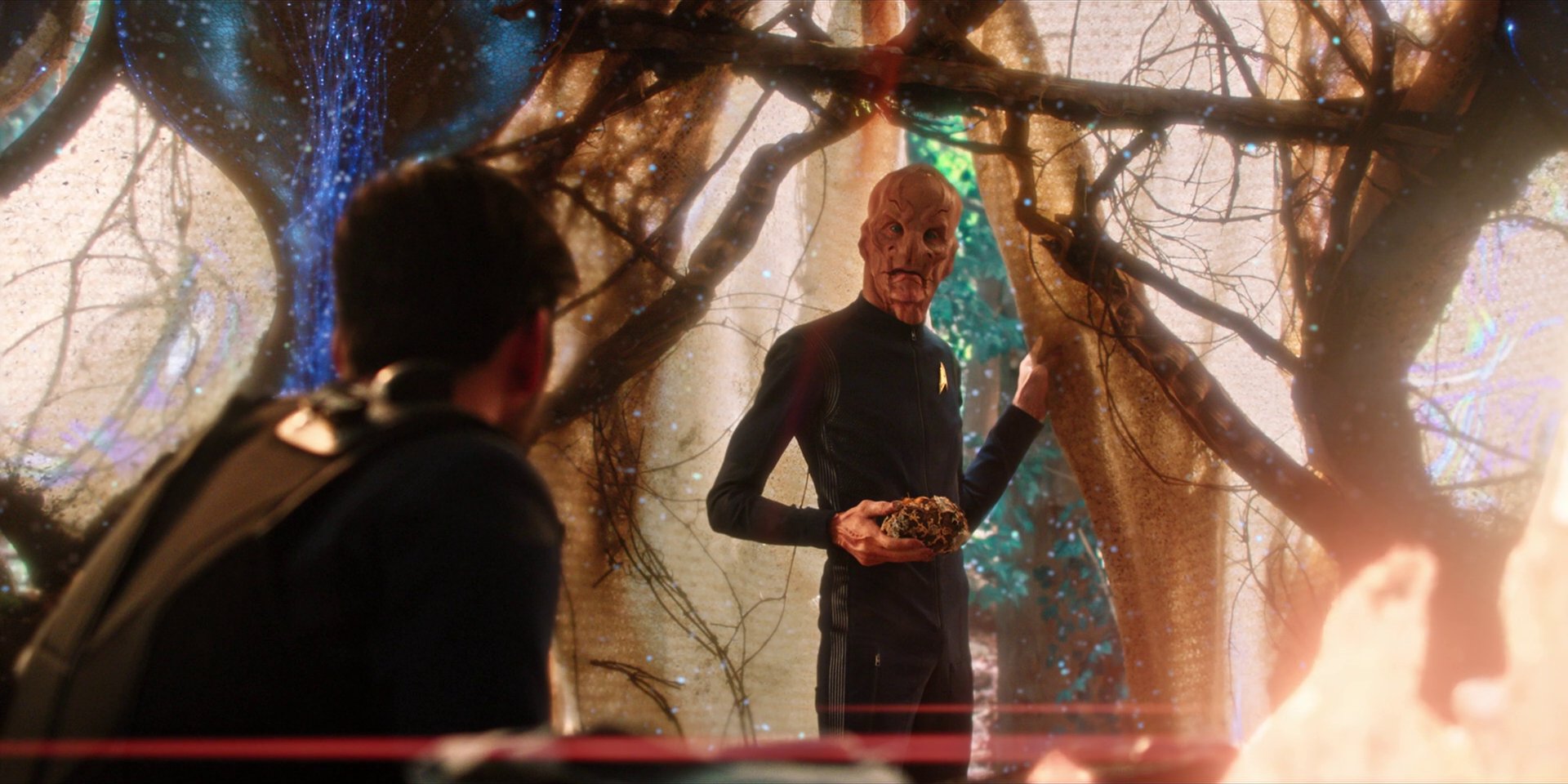 extant_StarTrekDiscovery_1x08-SiVisPacemParaBellum_2872.jpg