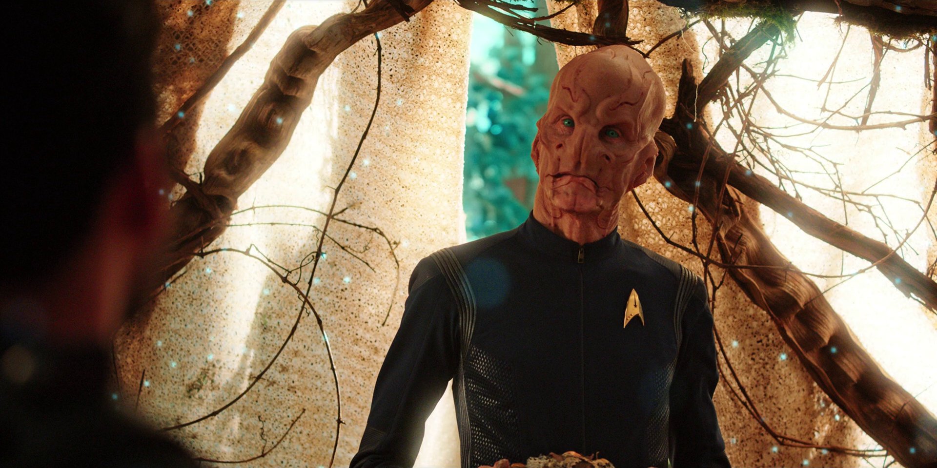 extant_StarTrekDiscovery_1x08-SiVisPacemParaBellum_2881.jpg