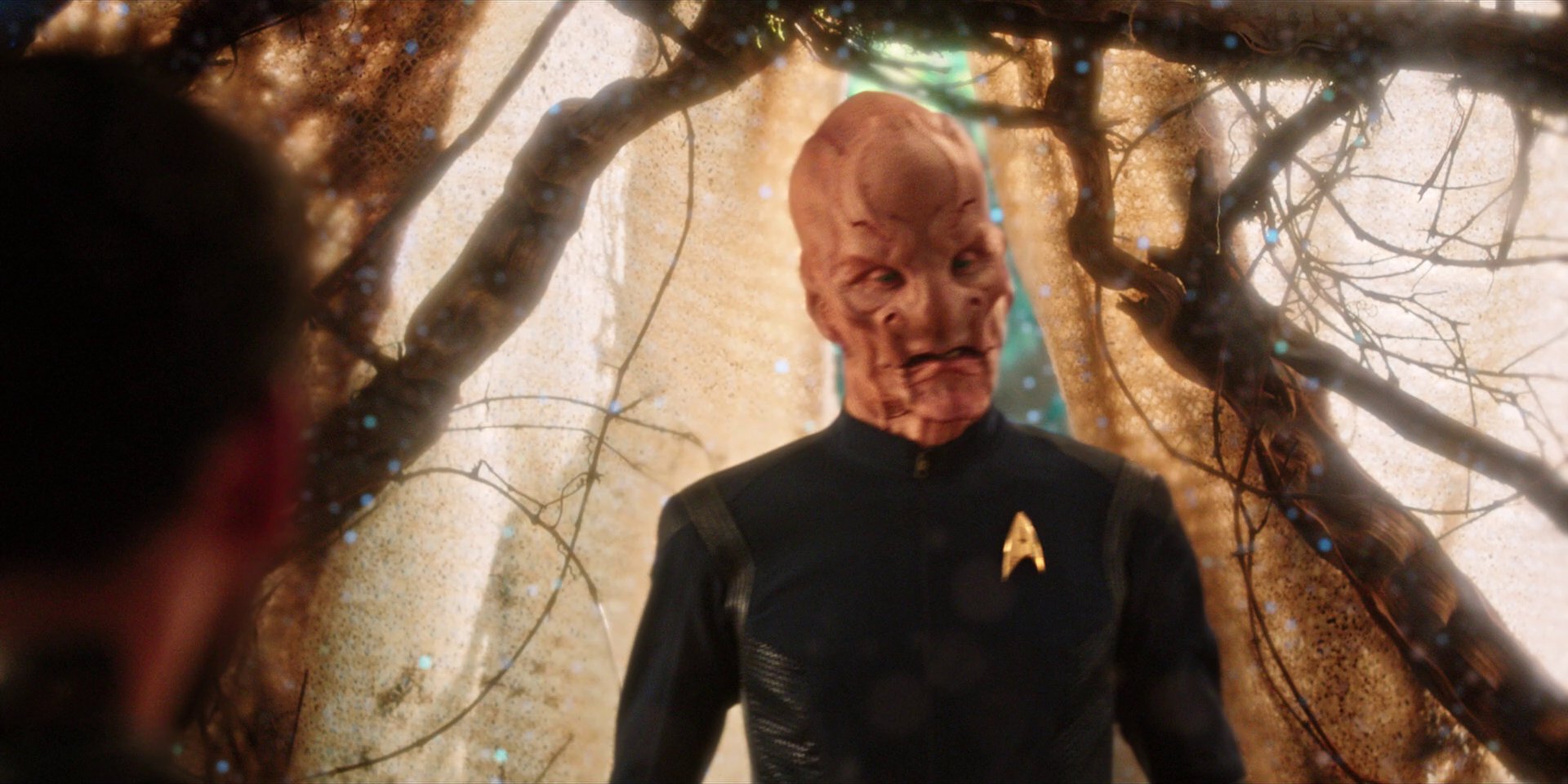 extant_StarTrekDiscovery_1x08-SiVisPacemParaBellum_2886.jpg