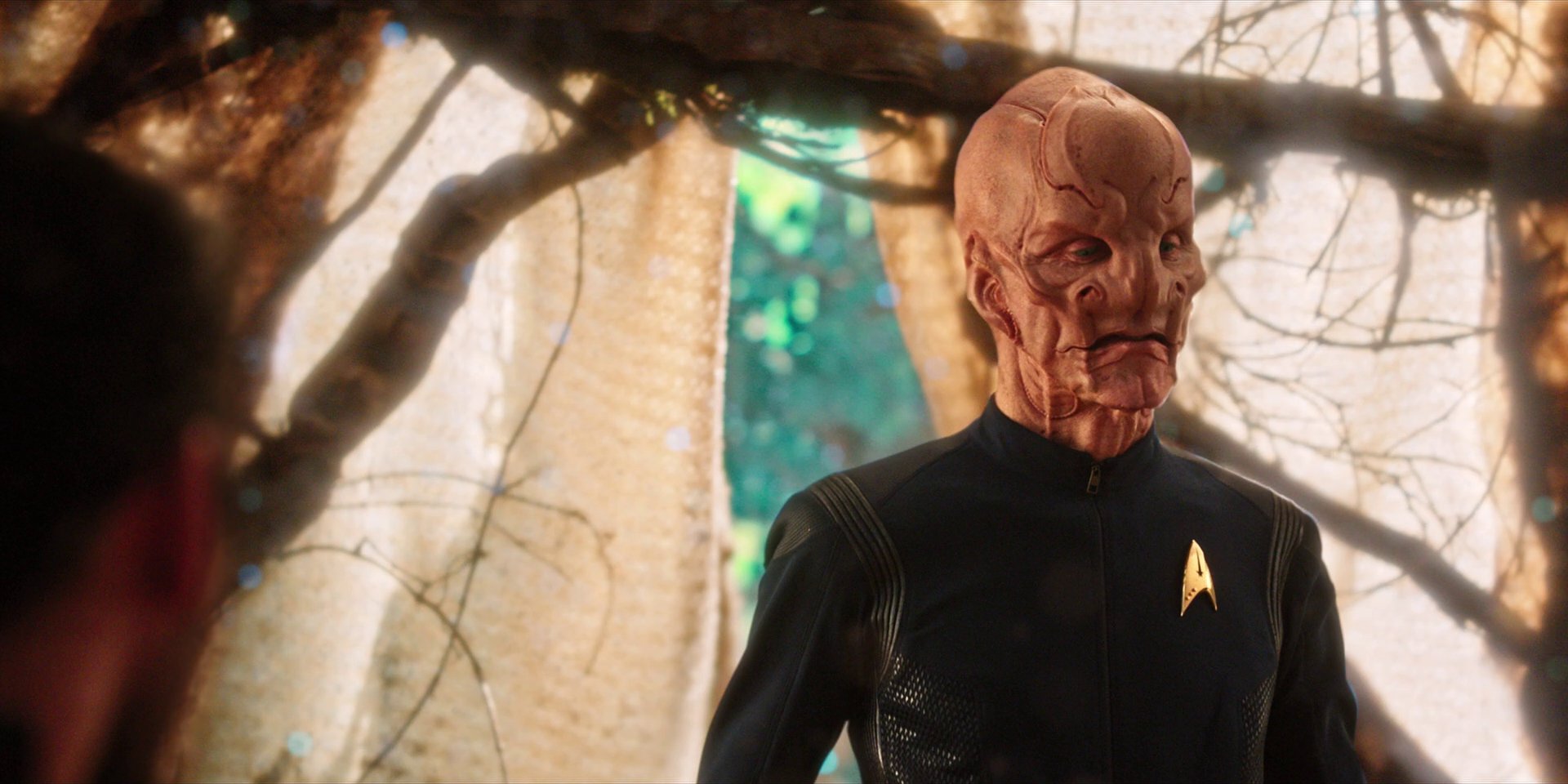 extant_StarTrekDiscovery_1x08-SiVisPacemParaBellum_2888.jpg