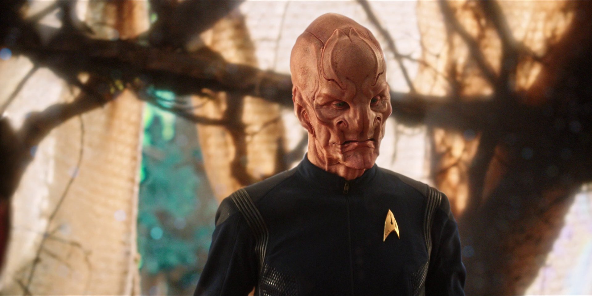 extant_StarTrekDiscovery_1x08-SiVisPacemParaBellum_2890.jpg