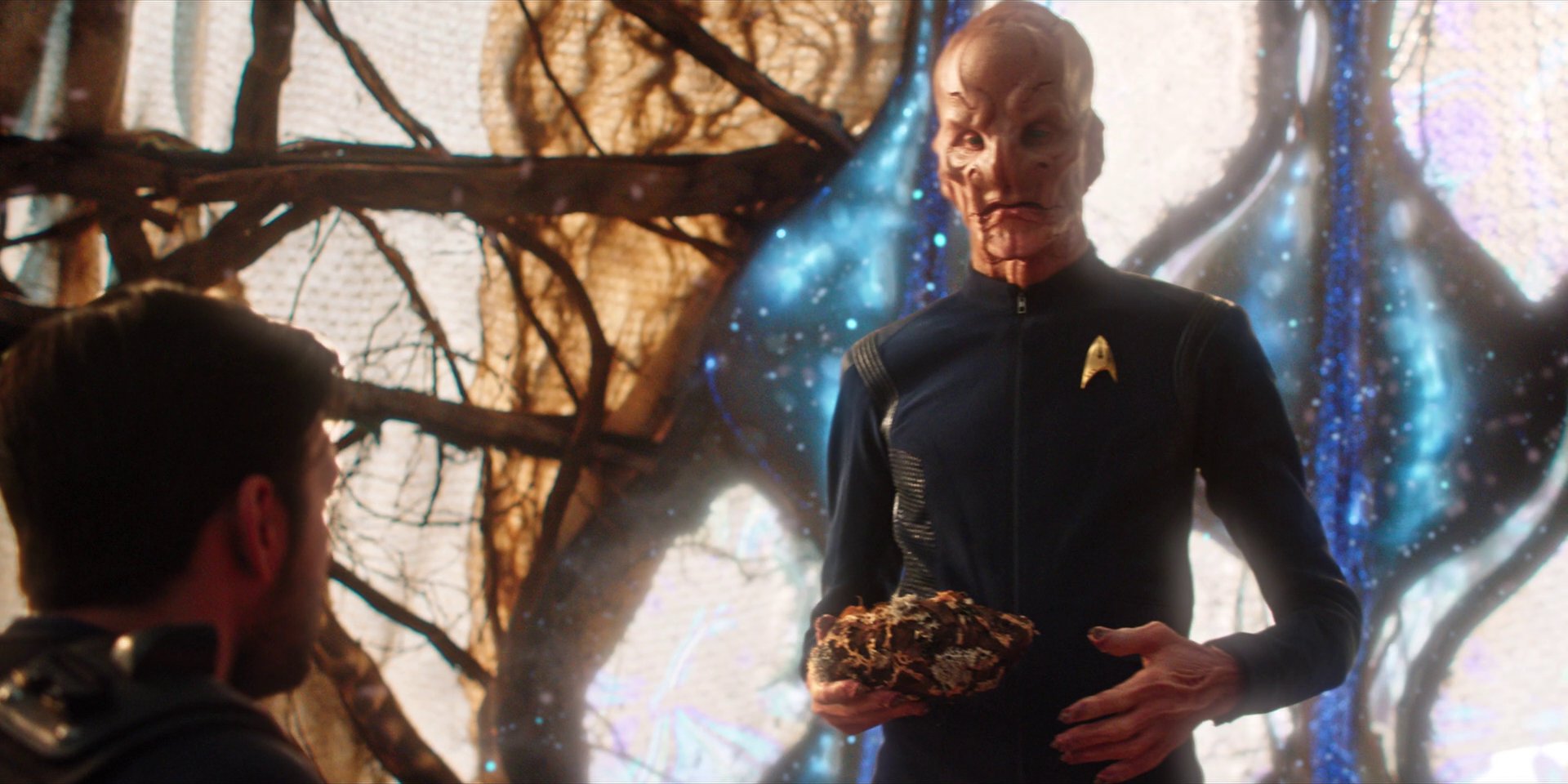 extant_StarTrekDiscovery_1x08-SiVisPacemParaBellum_2894.jpg extant_StarTrekDiscovery_1x08-SiVisPacemParaBellum_2894.jpg