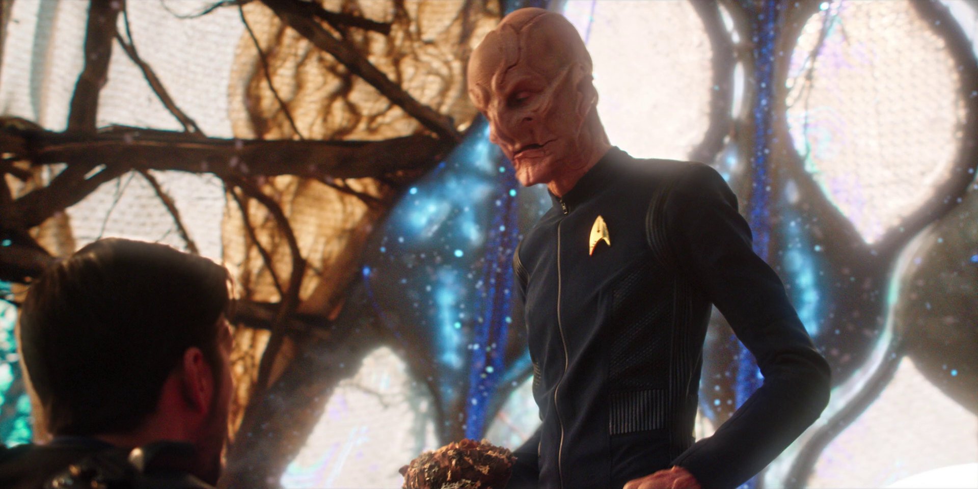 extant_StarTrekDiscovery_1x08-SiVisPacemParaBellum_2896.jpg