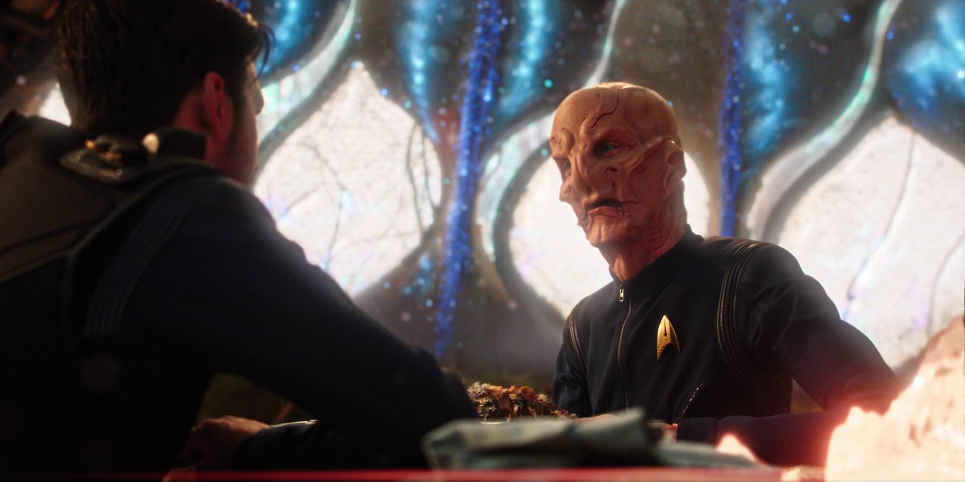extant_StarTrekDiscovery_1x08-SiVisPacemParaBellum_2903.jpg