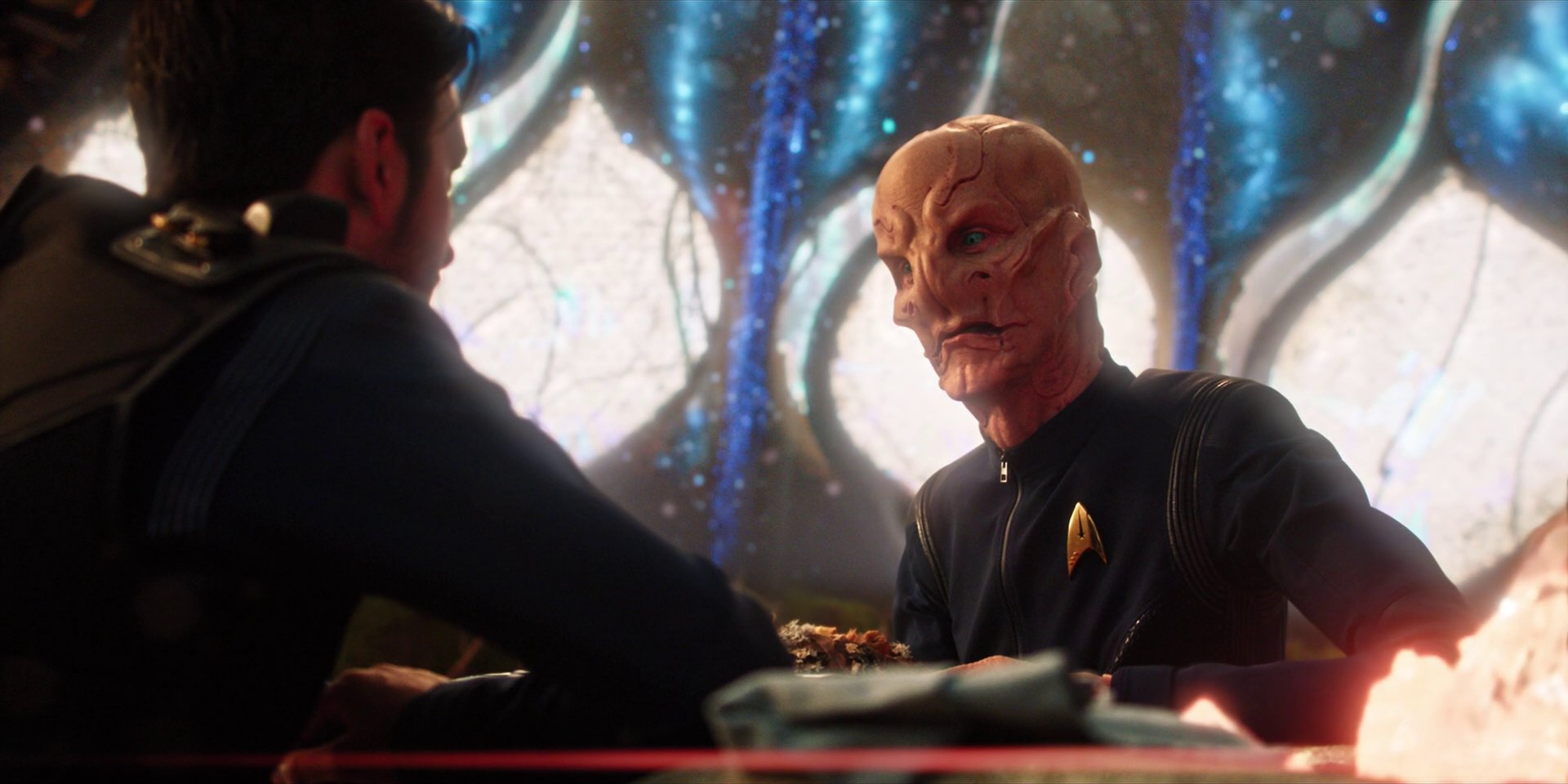 extant_StarTrekDiscovery_1x08-SiVisPacemParaBellum_2904.jpg