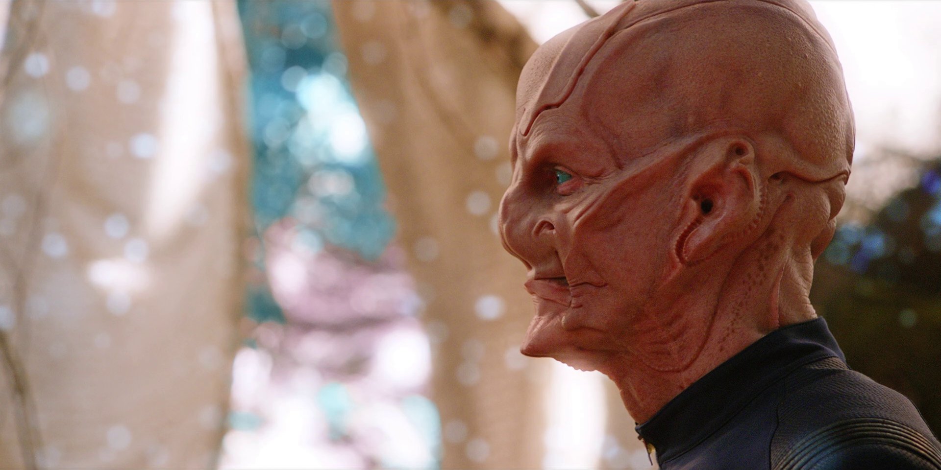 extant_StarTrekDiscovery_1x08-SiVisPacemParaBellum_2967.jpg