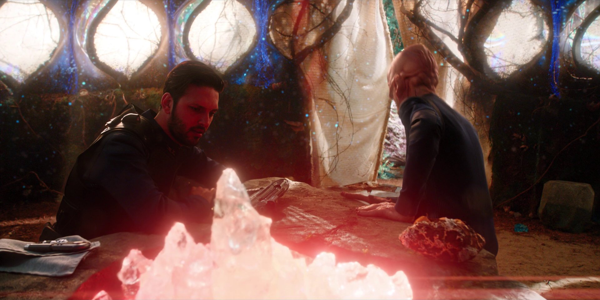 extant_StarTrekDiscovery_1x08-SiVisPacemParaBellum_3014.jpg