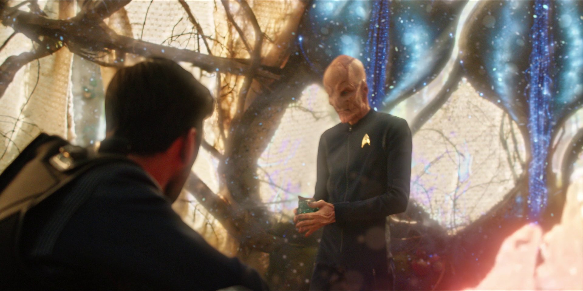 extant_StarTrekDiscovery_1x08-SiVisPacemParaBellum_3028.jpg