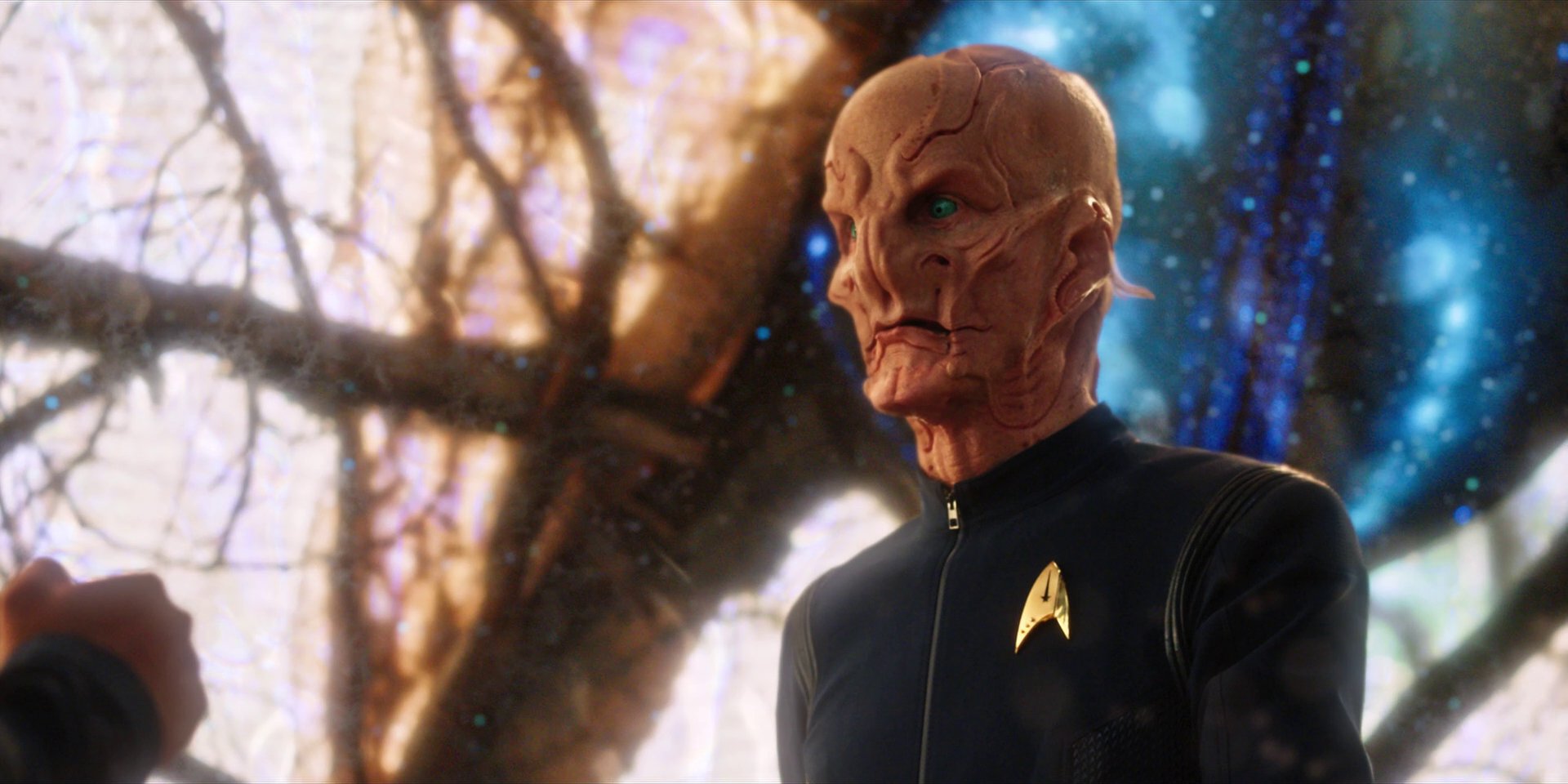 extant_StarTrekDiscovery_1x08-SiVisPacemParaBellum_3086.jpg
