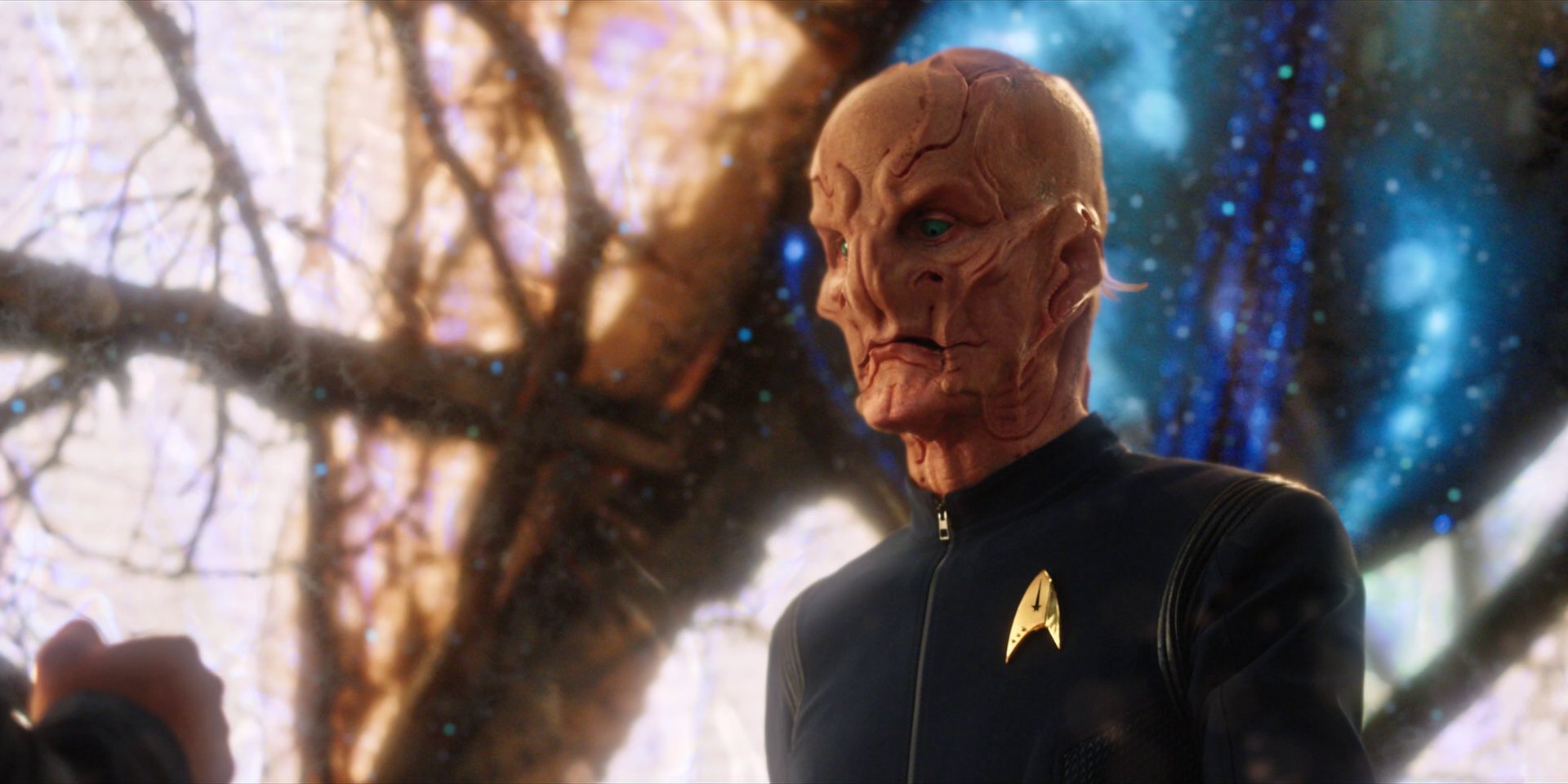 extant_StarTrekDiscovery_1x08-SiVisPacemParaBellum_3087.jpg