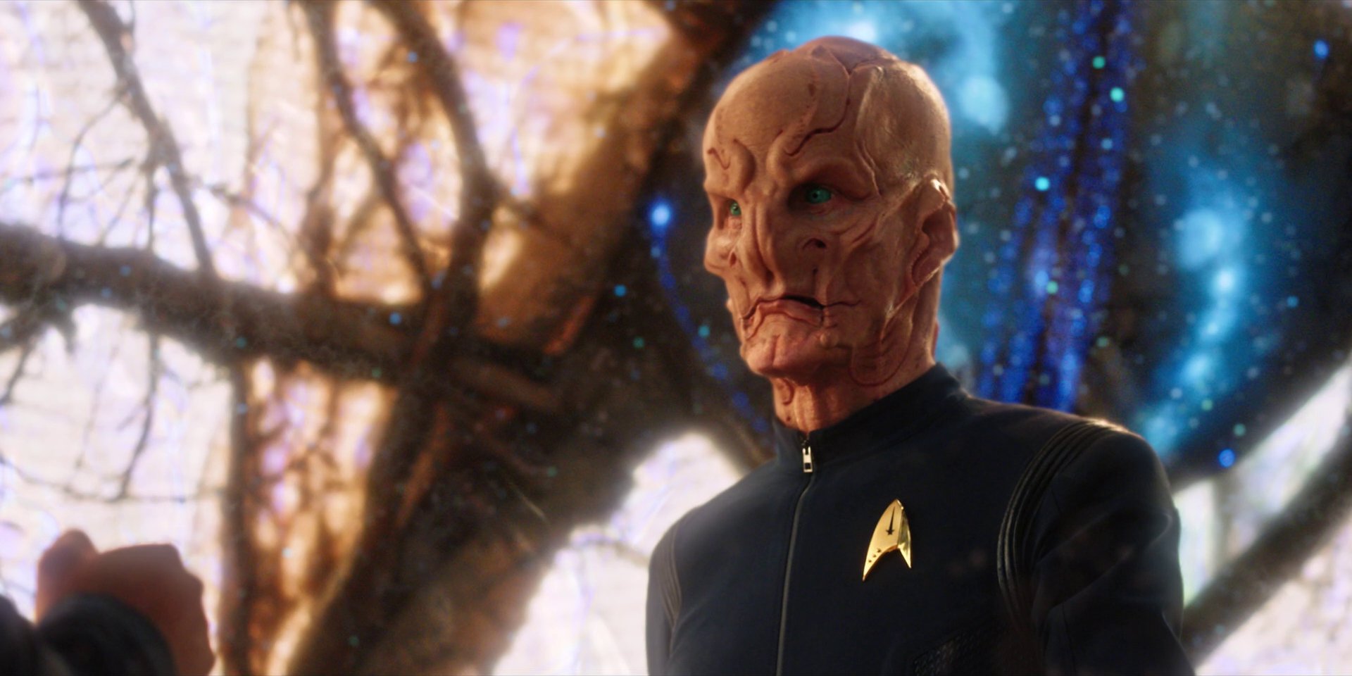 extant_StarTrekDiscovery_1x08-SiVisPacemParaBellum_3089.jpg