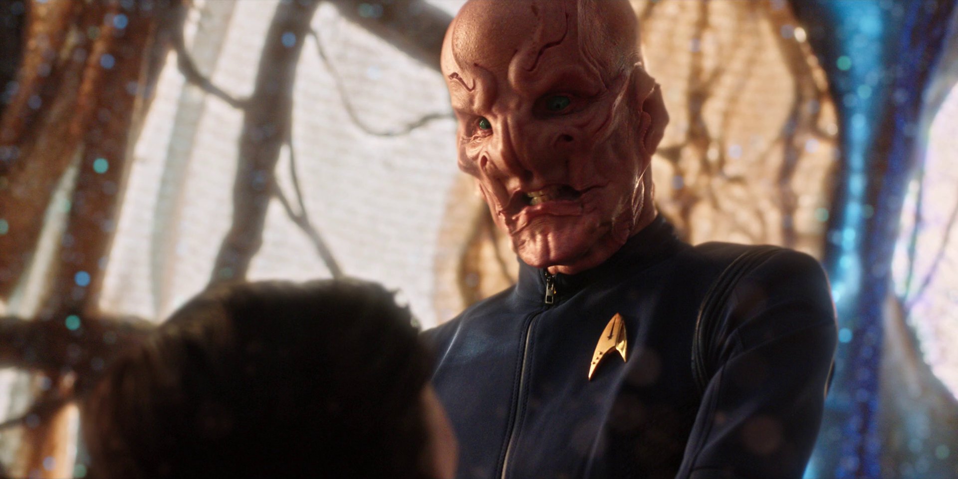 extant_StarTrekDiscovery_1x08-SiVisPacemParaBellum_3113.jpg