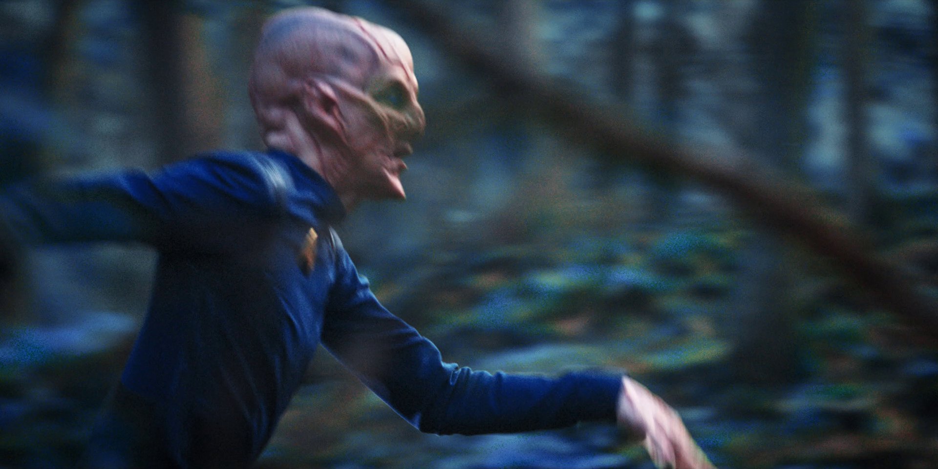 extant_StarTrekDiscovery_1x08-SiVisPacemParaBellum_3176.jpg