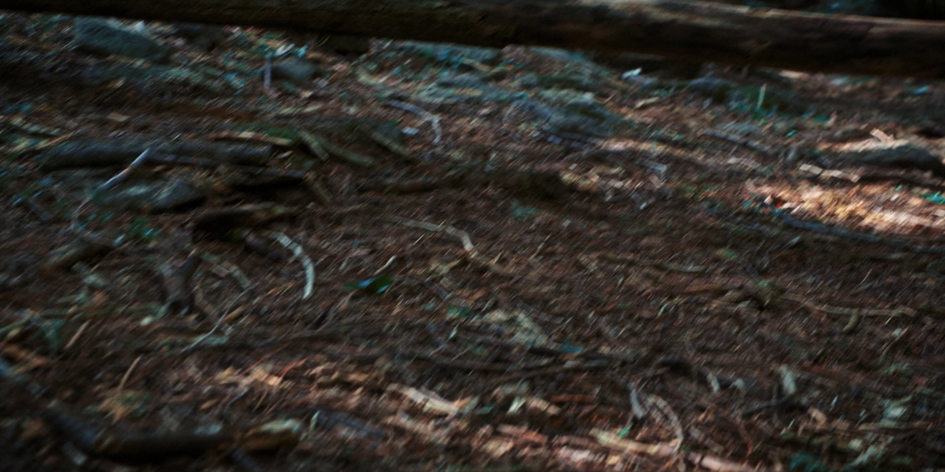 extant_StarTrekDiscovery_1x08-SiVisPacemParaBellum_3178.jpg