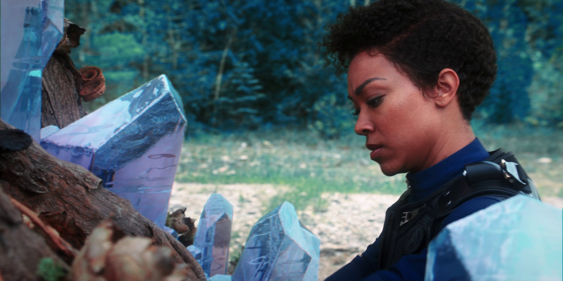 extant_StarTrekDiscovery_1x08-SiVisPacemParaBellum_3190.jpg