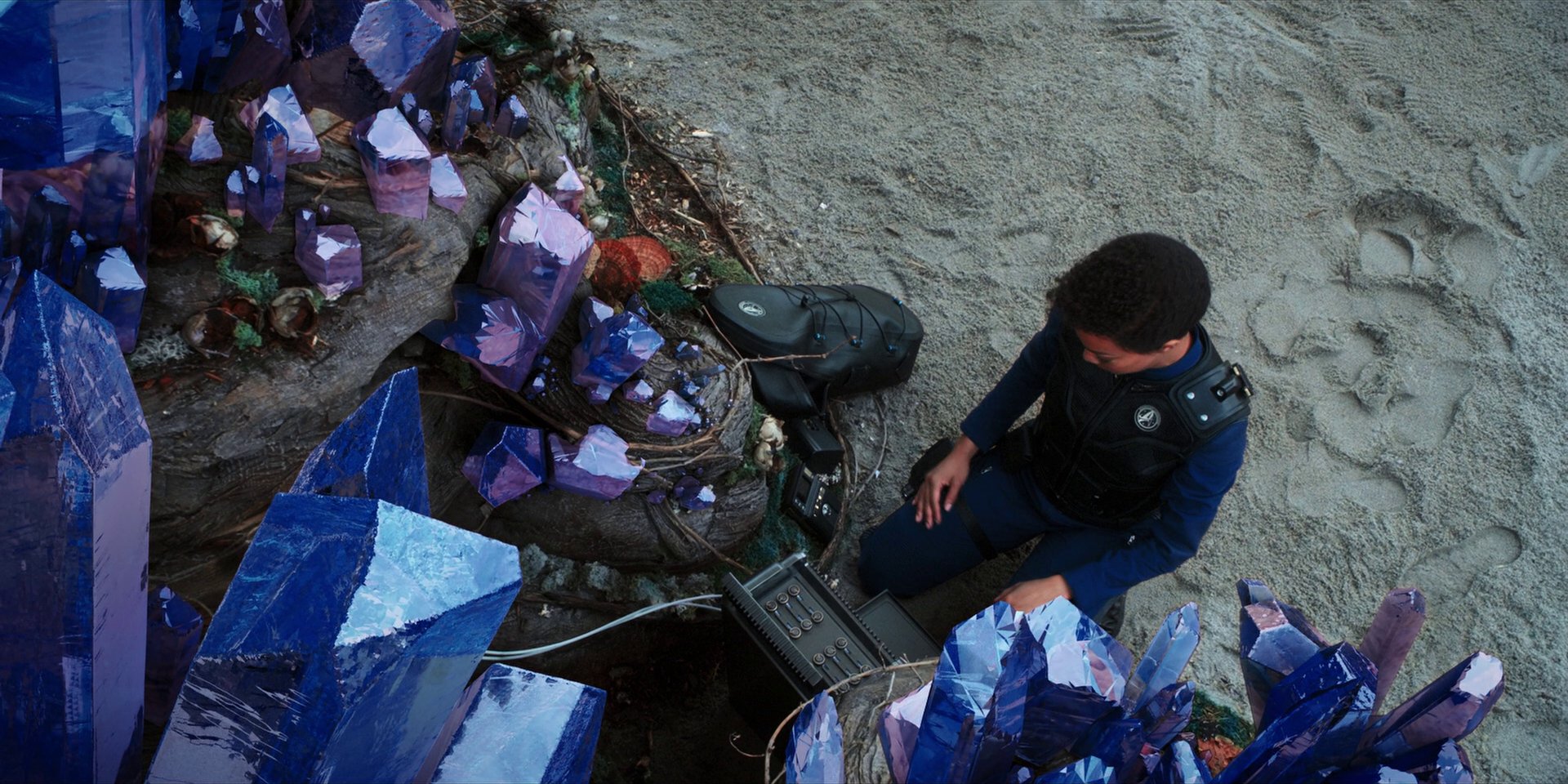 extant_StarTrekDiscovery_1x08-SiVisPacemParaBellum_3204.jpg