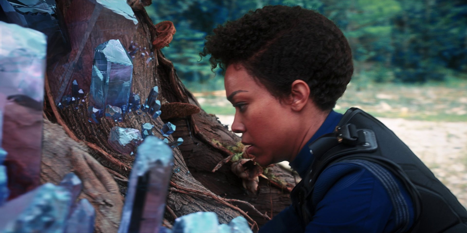 extant_StarTrekDiscovery_1x08-SiVisPacemParaBellum_3233.jpg