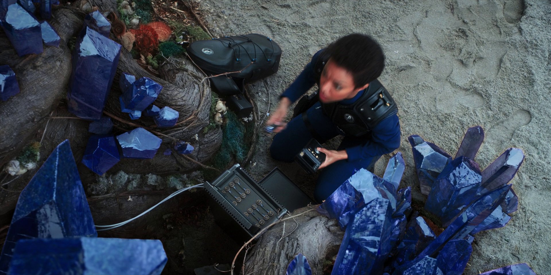 extant_StarTrekDiscovery_1x08-SiVisPacemParaBellum_3361.jpg