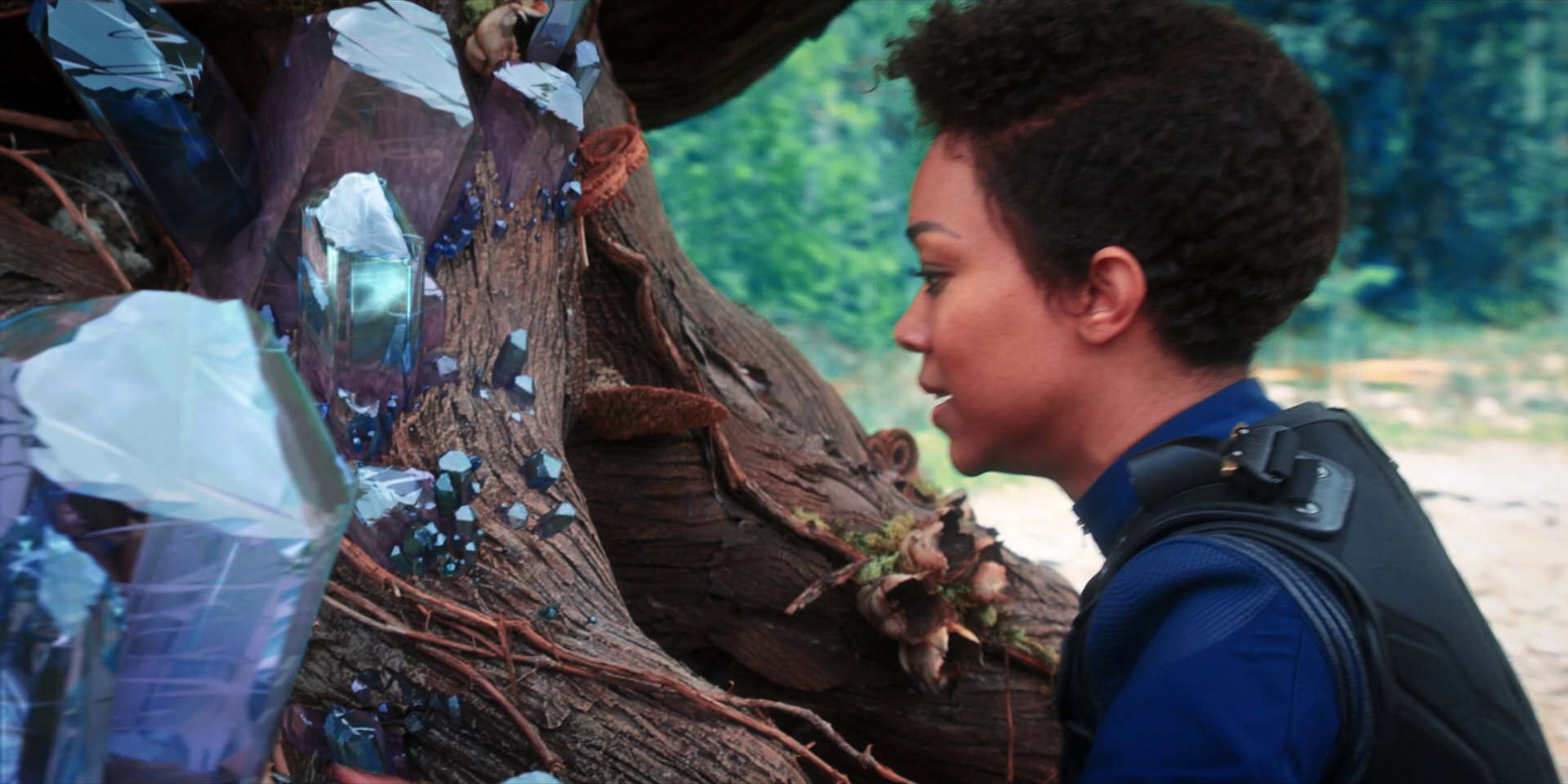 extant_StarTrekDiscovery_1x08-SiVisPacemParaBellum_3377.jpg
