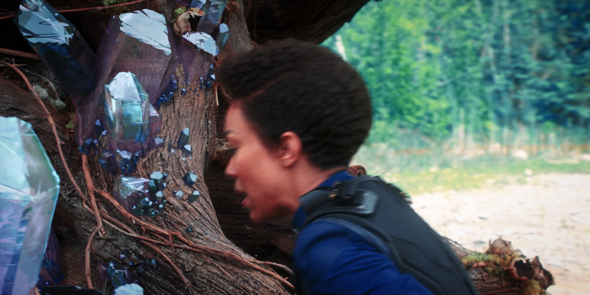 extant_StarTrekDiscovery_1x08-SiVisPacemParaBellum_3378.jpg