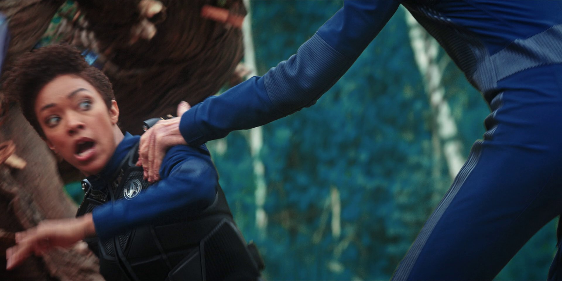 extant_StarTrekDiscovery_1x08-SiVisPacemParaBellum_3385.jpg